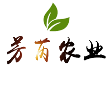 智能温室大棚造价_玻璃温室_薄膜连栋温室大棚_无土栽培蔬菜大棚_日光温室大棚厂家-青州芳芮农业科技 智能温室大棚造价_玻璃温室_薄膜连栋温室大棚_无土栽培蔬菜大棚_日光温室大棚厂家-青州芳芮农业科技