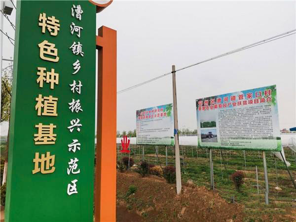 产业扶贫“子落盘活 产业扶贫“子落盘活