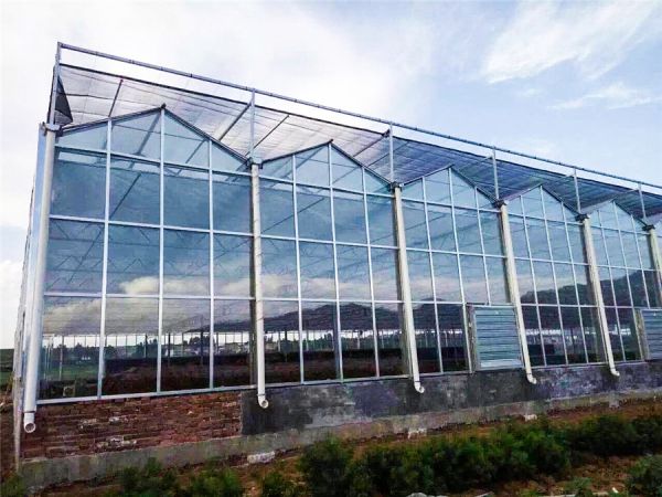 一亩温室大棚造价多少钱?