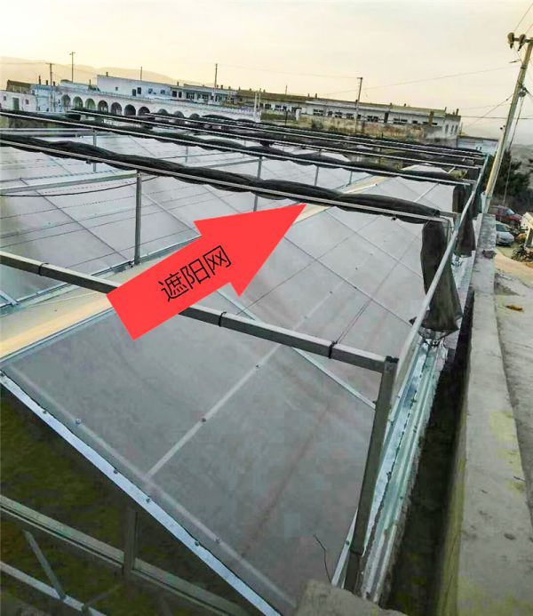 温室大棚内外遮阳系统