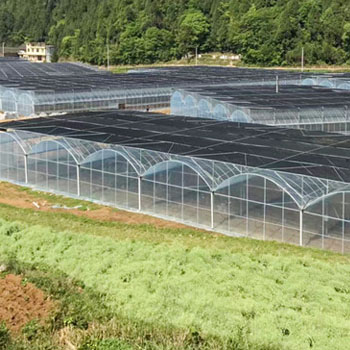 薄膜连栋 温室