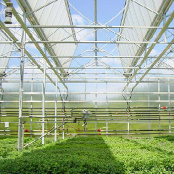 阳光板温室 大棚