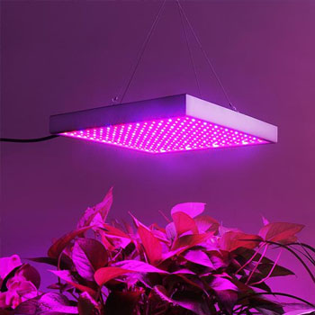 植物补光灯、照明灯