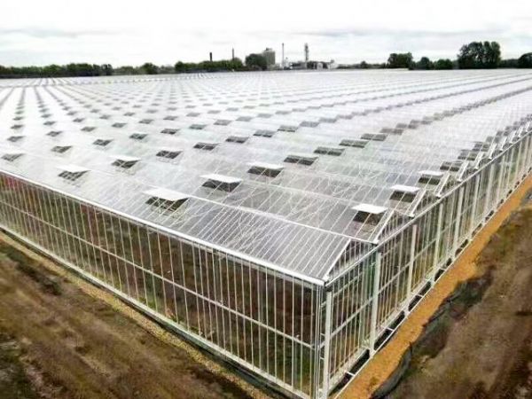 好的大棚膜是什么膜?如何正确选购大棚膜?