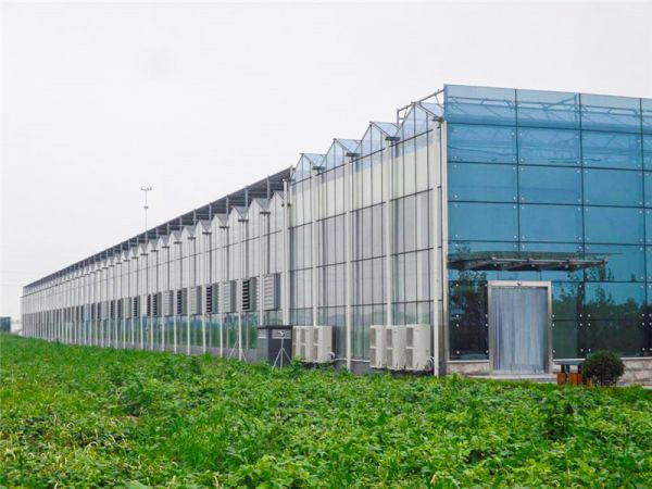 玻璃温室建造如何设计