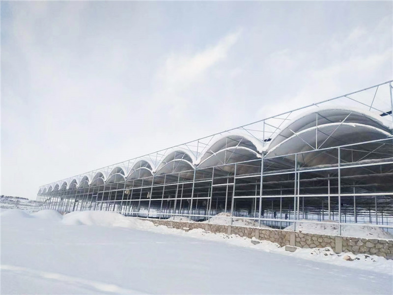 薄膜连栋温室 薄膜连栋温室