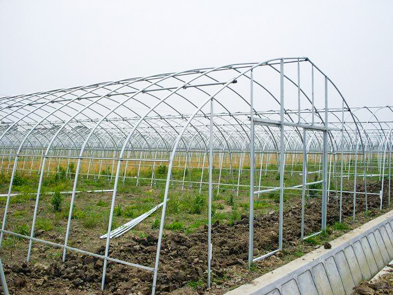 蔬菜大棚
