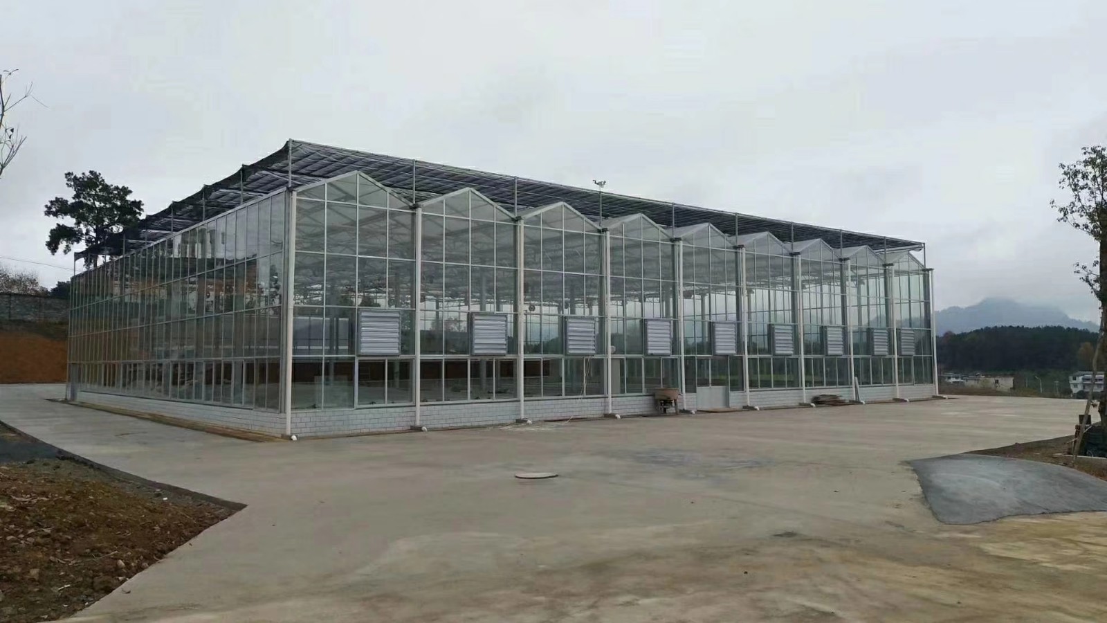 604abef66e879.jpg 604abef66e879.jpg