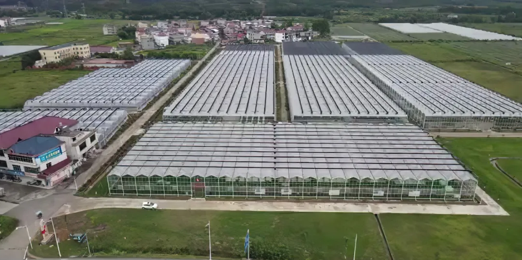 60569e7864d37.png image.png