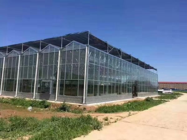 什么是玻璃温室大棚