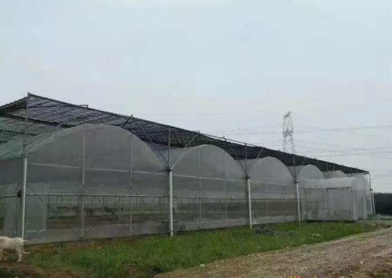 如何判断连栋温室大棚密封性好坏?