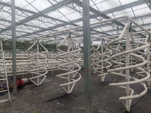 现代化智慧农业最受欢迎的栽培技术你有了解吗?