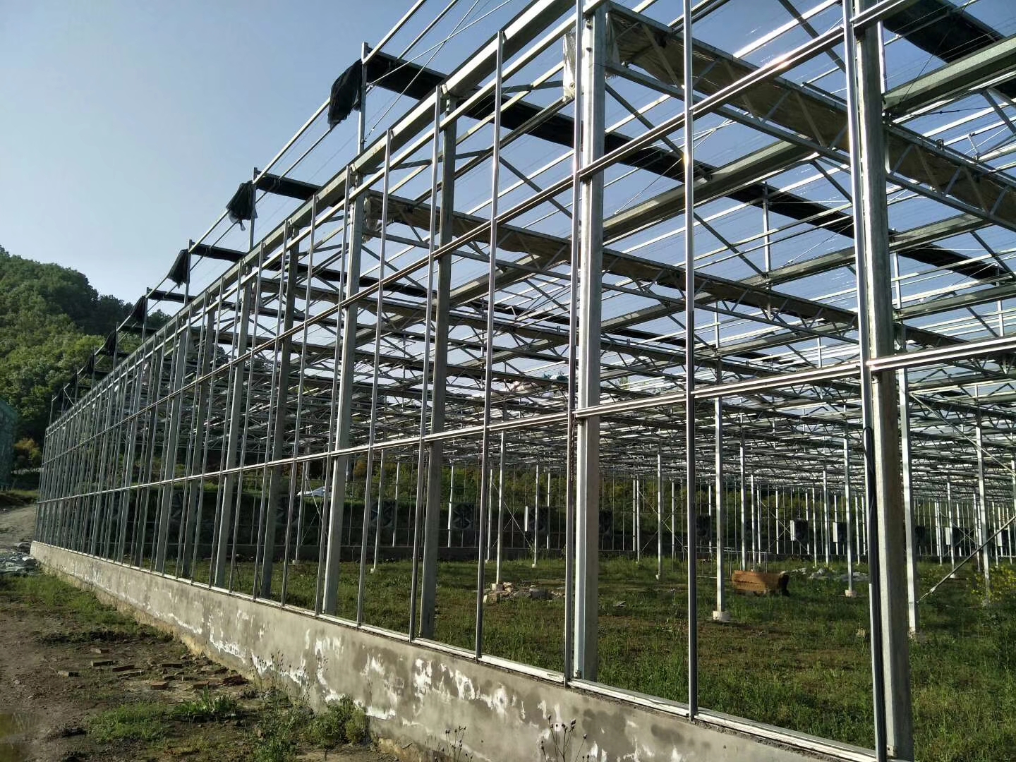 60b9ecfb176e3.jpg 60b9ecfb176e3.jpg