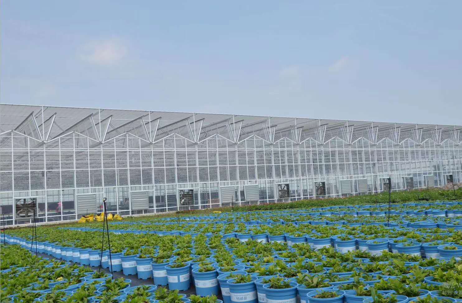 60f8cd6c39445.jpg 60f8cd6c39445.jpg