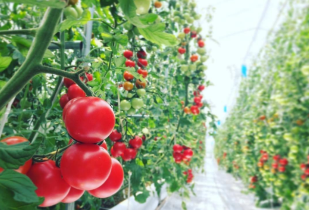 60fe1c24b1fab.png image.png