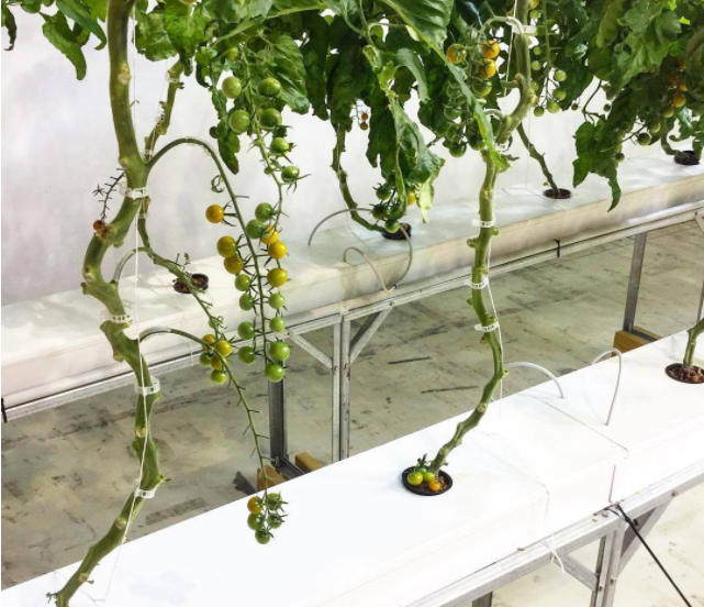 60fe1c63cc0a4.png image.png