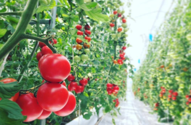 60fe1c9b49a45.png image.png