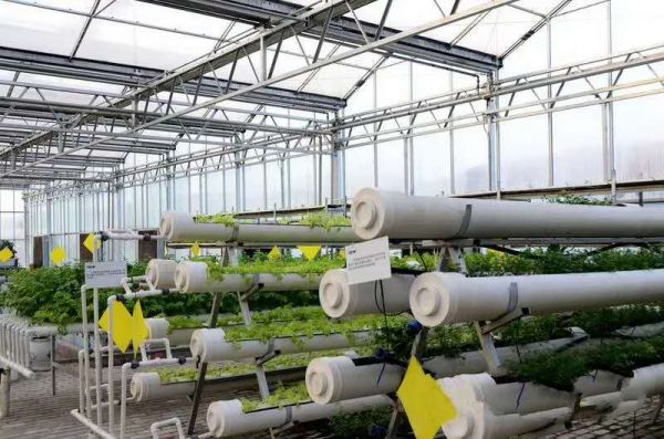 节水灌溉:温室大棚水肥药一体化灌溉技术