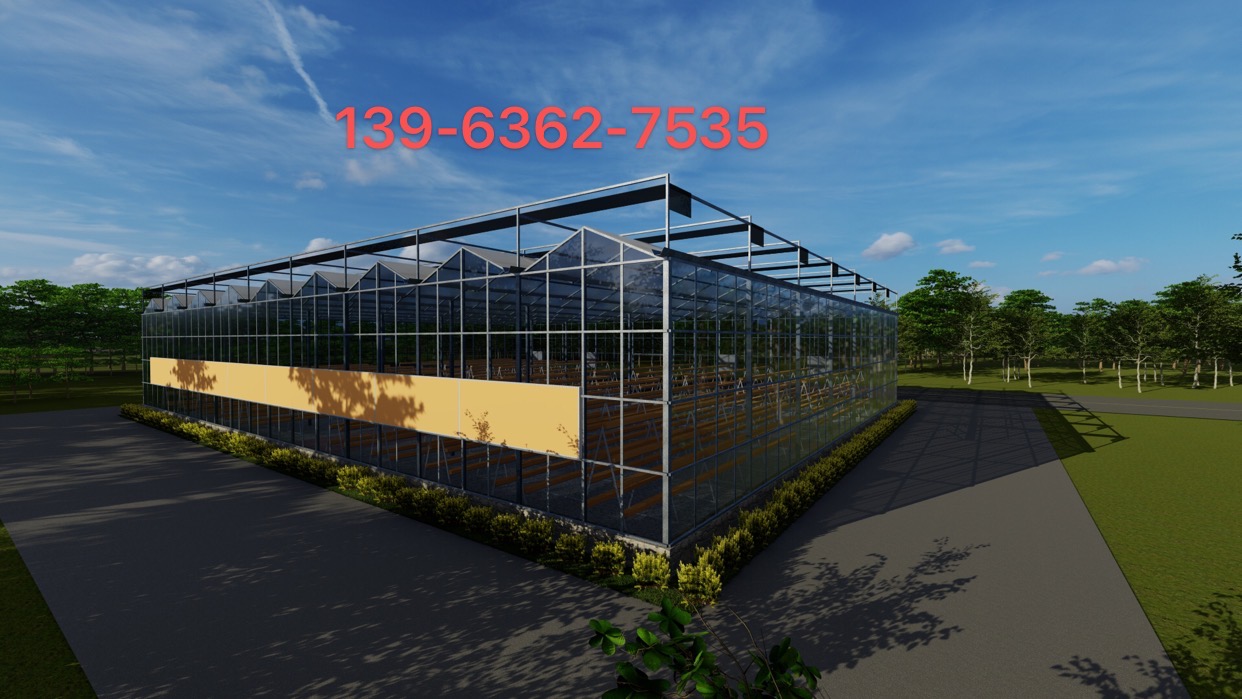 612d7737ca72d.jpg 612d7737ca72d.jpg