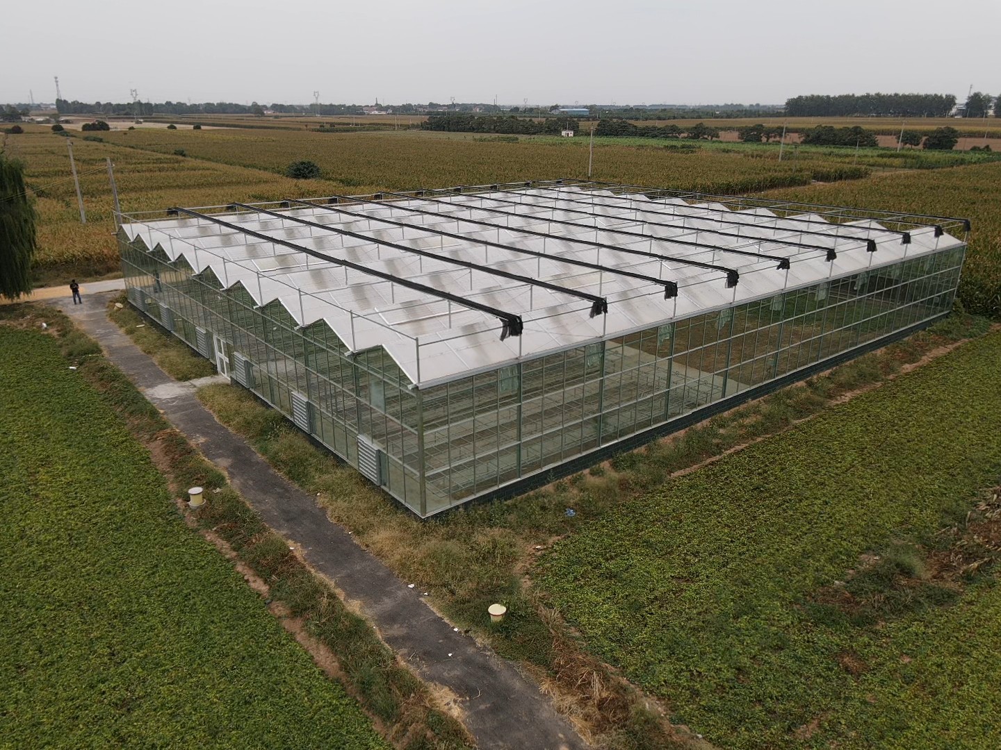 612d77824d893.jpg 612d77824d893.jpg